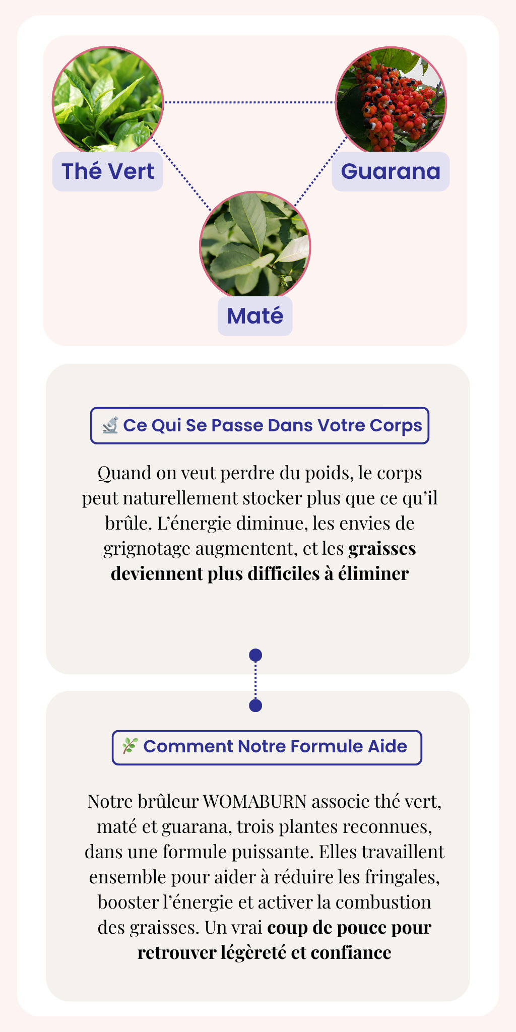 Fiche technique complète du produit WomaBurn